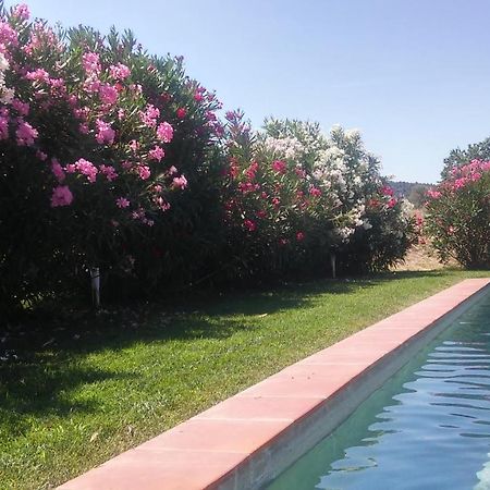 Mas Figueres Villa Marsá Exteriör bild